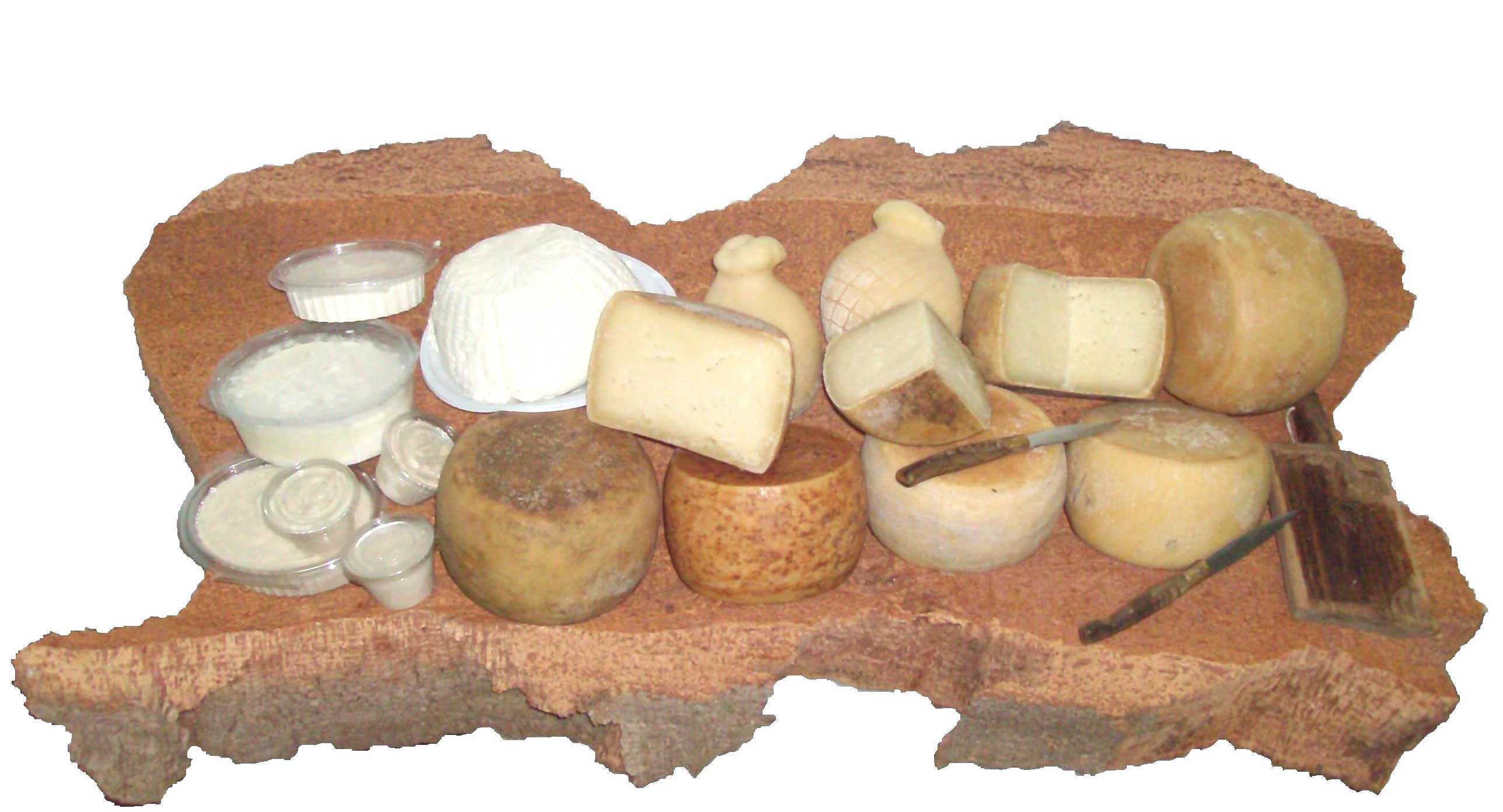 Formaggi tipici sardi